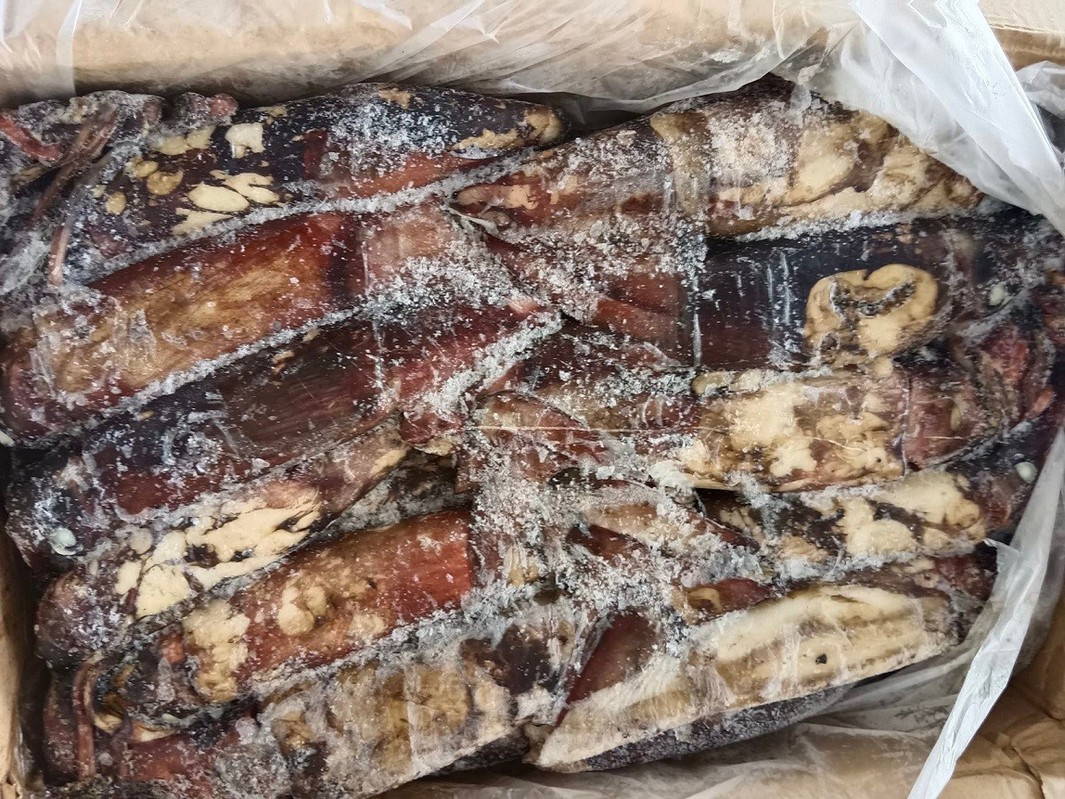 34892707234716780597559773609335658866366305n 34892707234716780597559773609335658866366305n